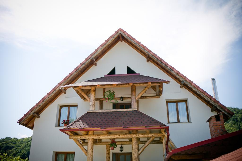 Conacul De Sub Munte Villa Novaci-Străini Dış mekan fotoğraf