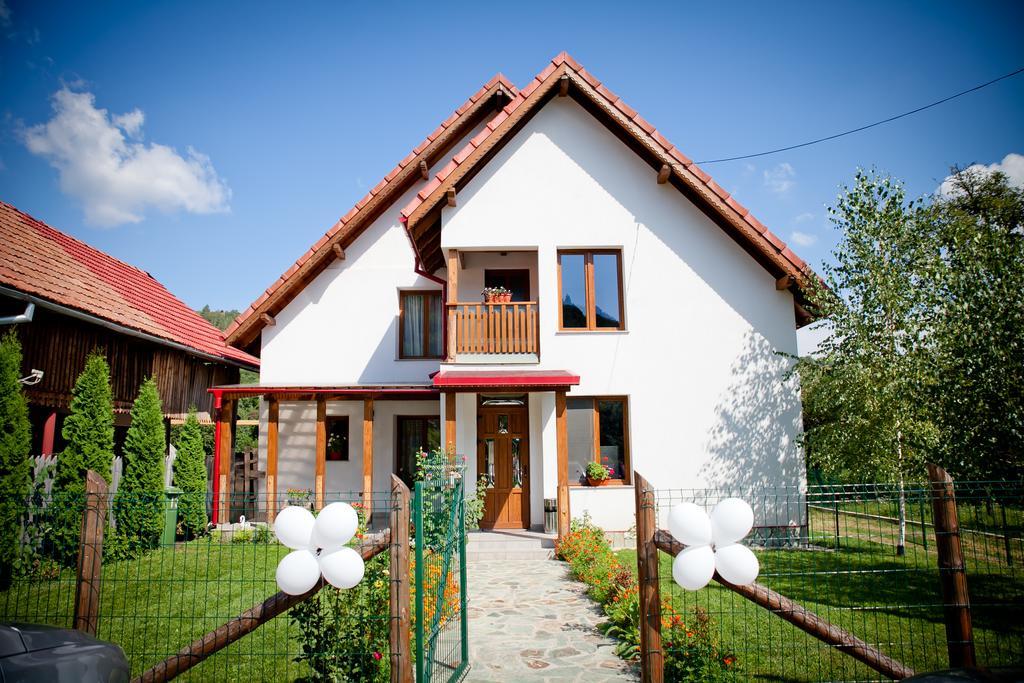 Conacul De Sub Munte Villa Novaci-Străini Dış mekan fotoğraf
