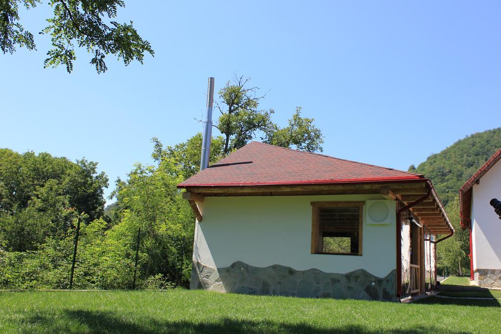 Conacul De Sub Munte Villa Novaci-Străini Dış mekan fotoğraf