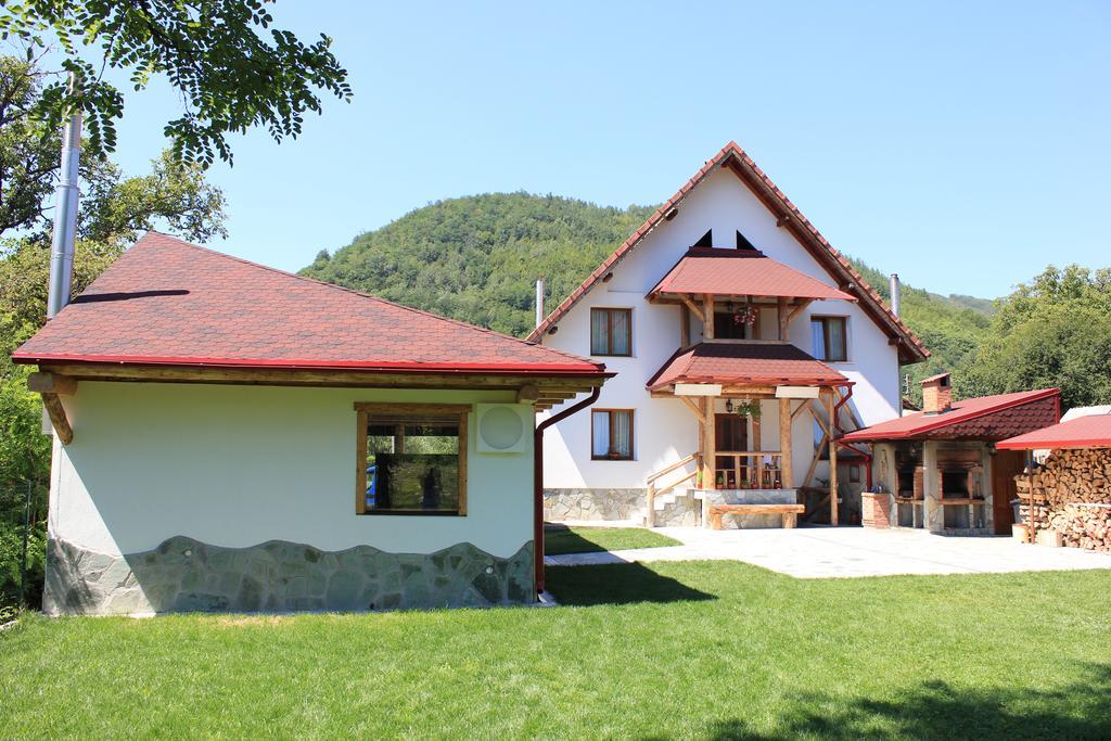 Conacul De Sub Munte Villa Novaci-Străini Dış mekan fotoğraf