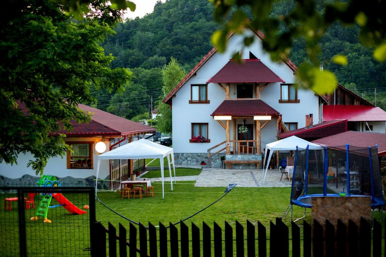 Conacul De Sub Munte Villa Novaci-Străini Dış mekan fotoğraf