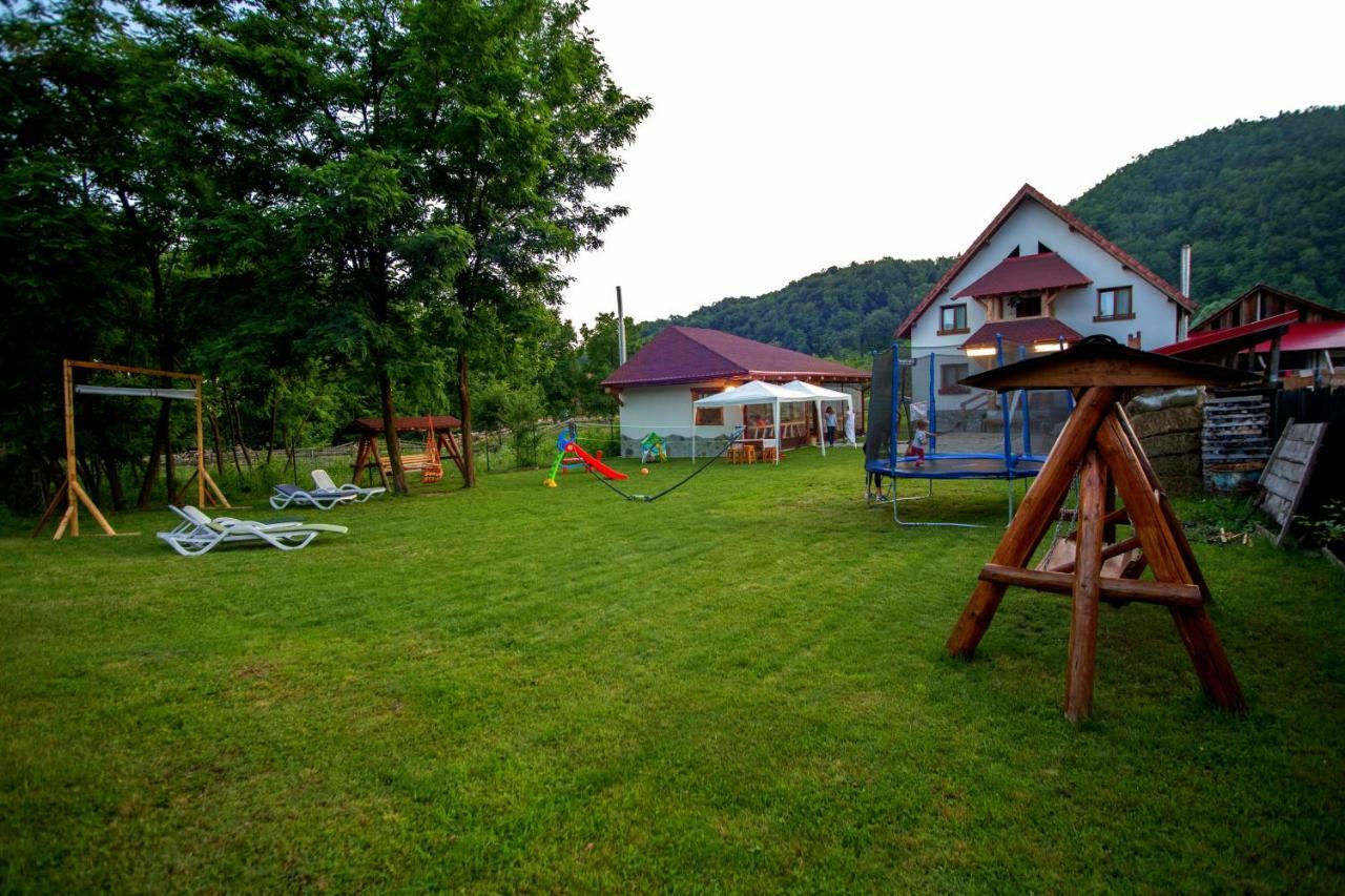 Conacul De Sub Munte Villa Novaci-Străini Dış mekan fotoğraf