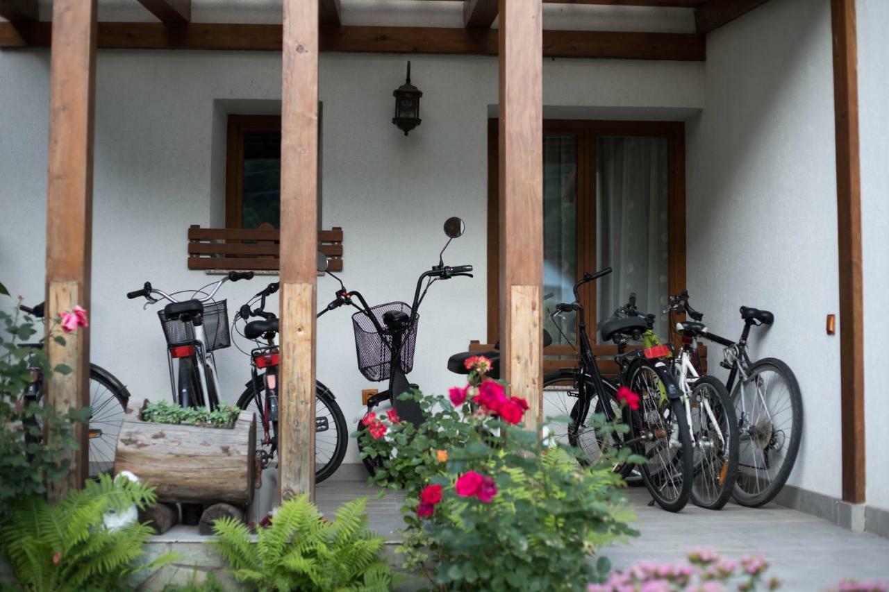 Conacul De Sub Munte Villa Novaci-Străini Dış mekan fotoğraf